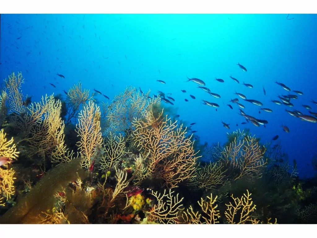 Diving School Chrousso Village Hotel