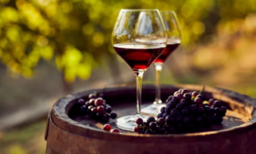 Wine tasting Wine tasting